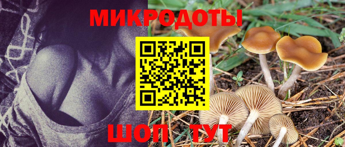 Псилоцибиновые грибы MAGIC MUSHROOMS Мелеуз