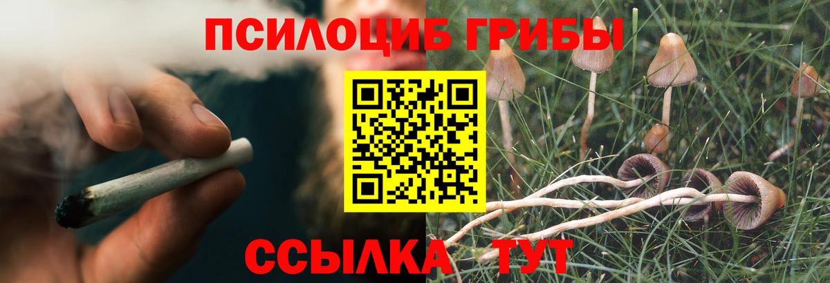 Галлюциногенные грибы прущие грибы  Псилоцибиновые грибы мухоморы  Вход с VPN  Мелеуз 
